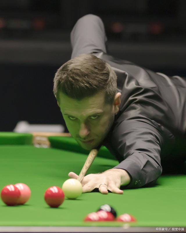 毋庸置疑 毋庸置疑