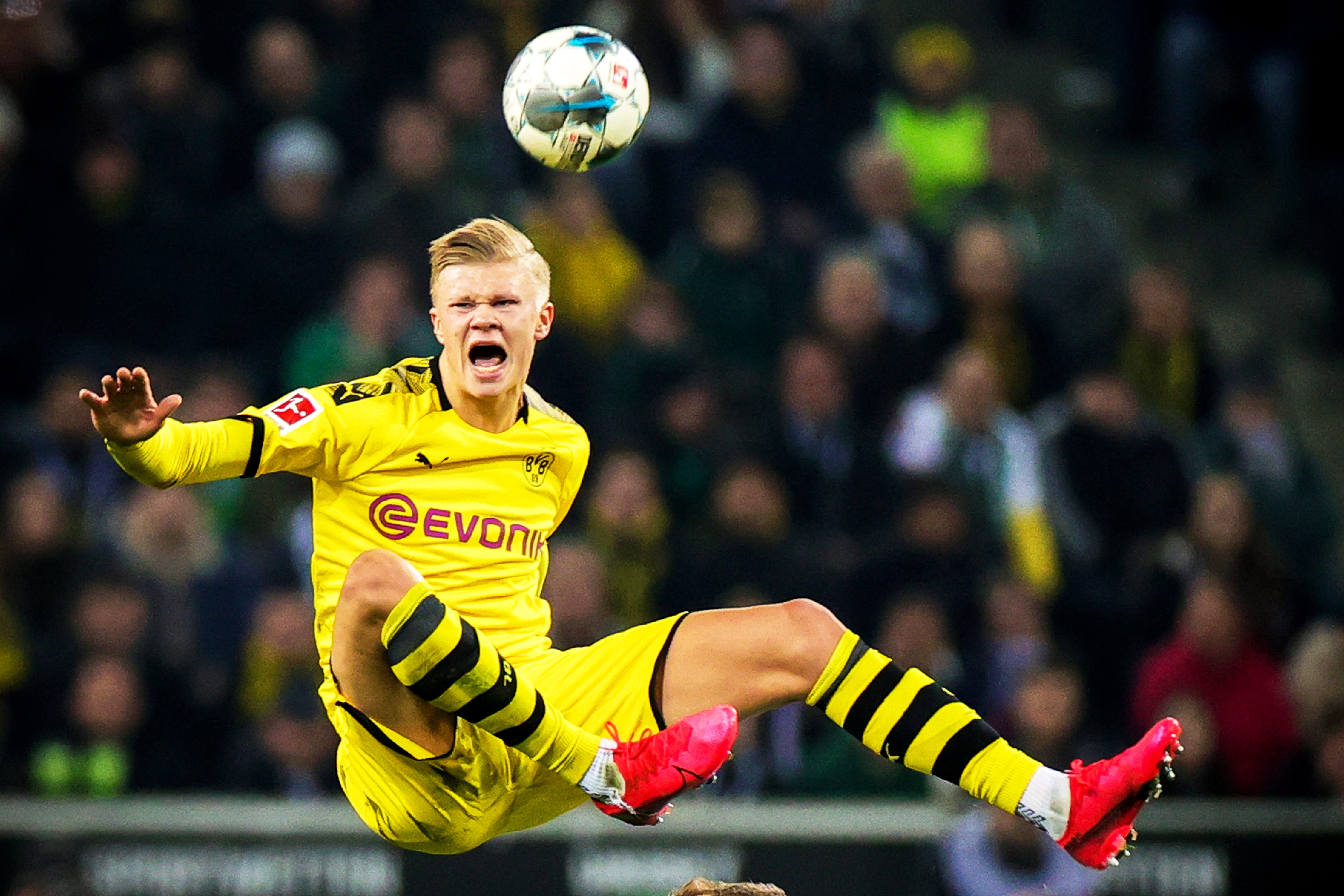 搭便车者 搭便车者