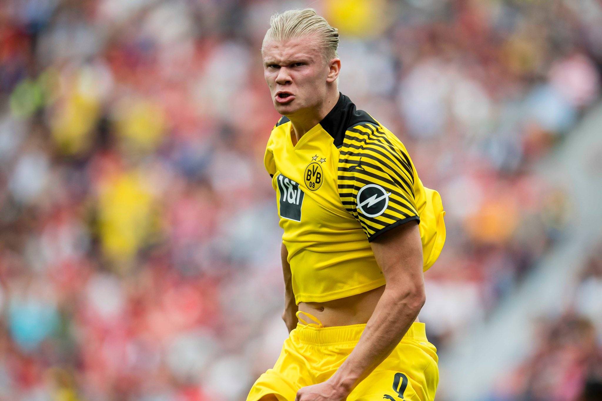 在美洲杯与 在美洲杯与