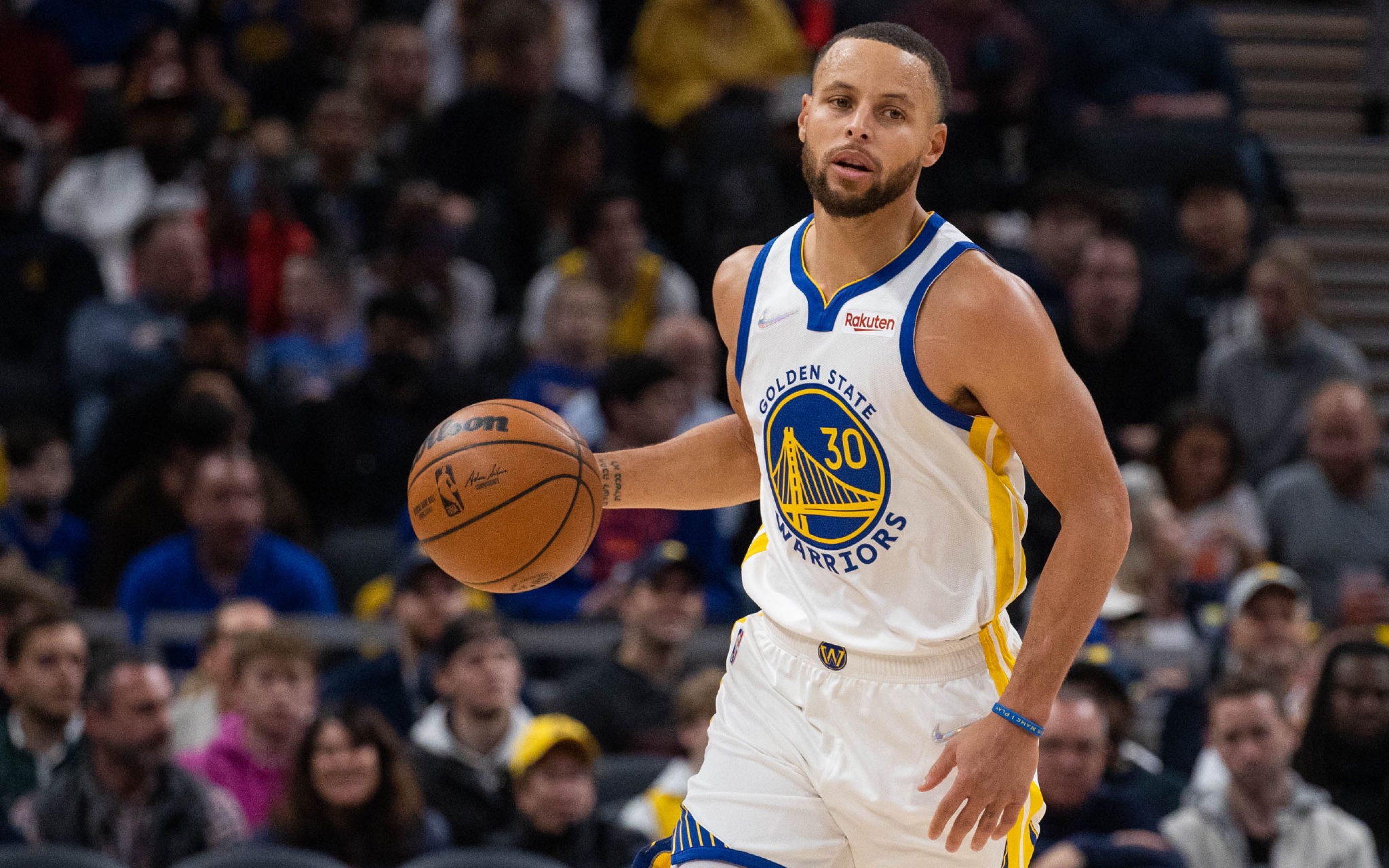 前景枝叶与 前景枝叶与